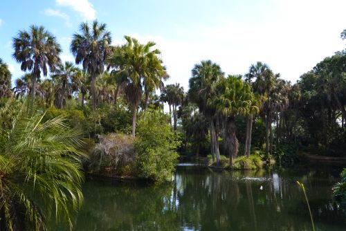 Bok Tower, surroundings.