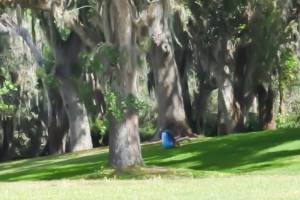 Lisa, rolling somersaults downhill at Bok Tower, Florida.