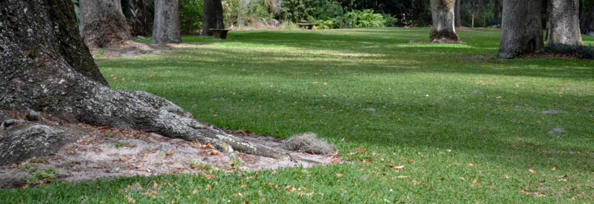 The greensward at Bok Tower Sanctuary, Florida.