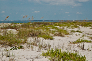 No condos, no 7-Elevens, no nothing. Cape Canaveral Air Force Station.