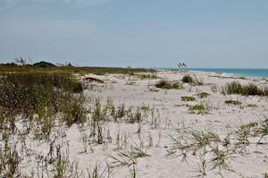 Pristine beach on Cape Canaveral Air Force Station.