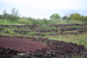 The heiau at Waimea, brooding inscrutably under a leaden sky.