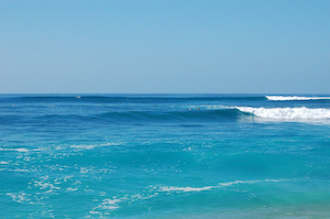 Nice lineup, eh? Makaha.