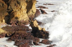 Murderously sharp rocks line the break at Gas Chamber's.